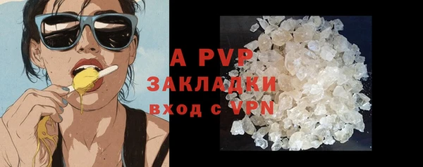 стафф Дмитров