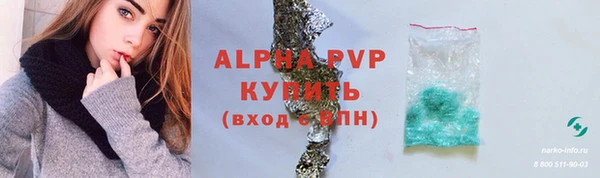 PSILOCYBIN Елабуга
