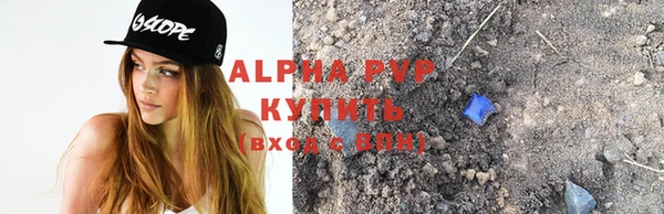 сатива Гусь-Хрустальный