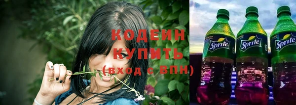сатива Гусь-Хрустальный