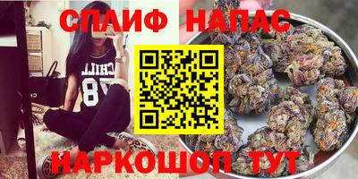 МДПВ Ливны