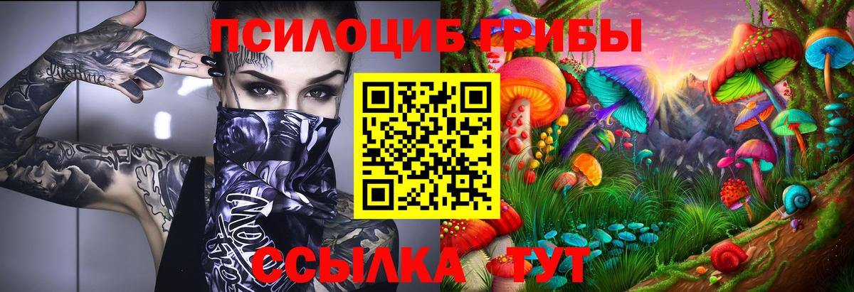 Галлюциногенные грибы ЛСД Кимры