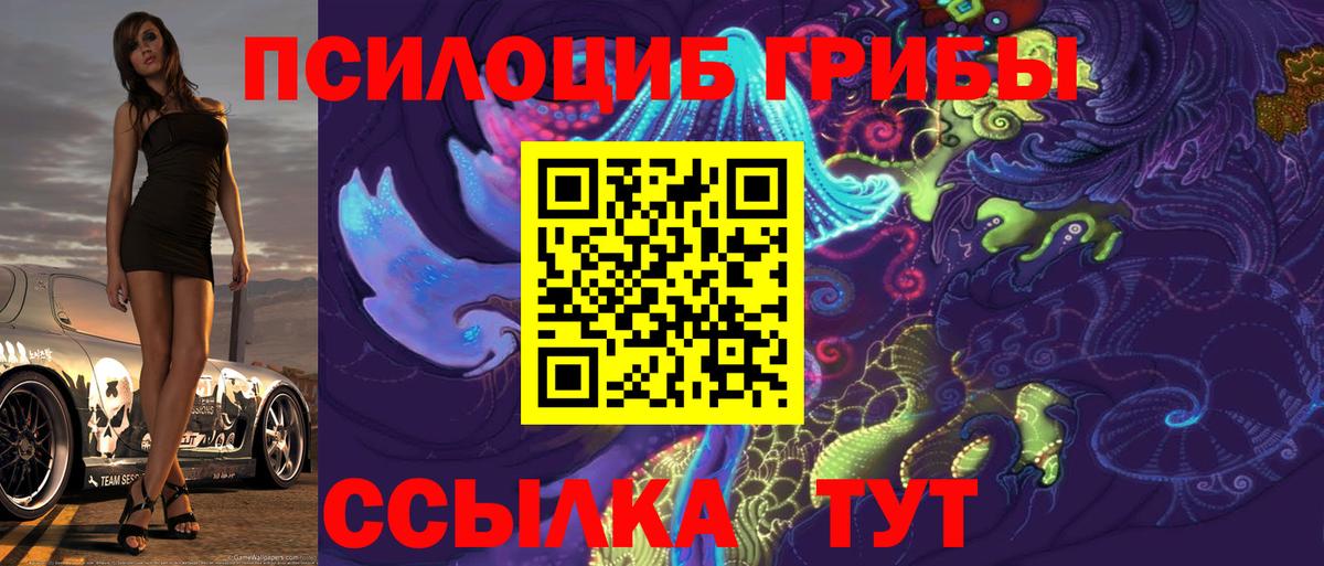 Кимры  Псилоцибиновые грибы мухоморы  Галлюциногенные грибы MAGIC MUSHROOMS  Вход с VPN 